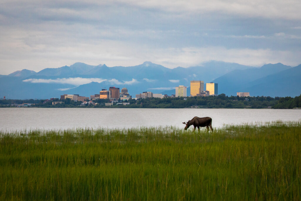 Anchorage skyline and snowy mountains
